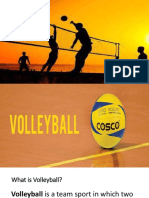 Volleyball