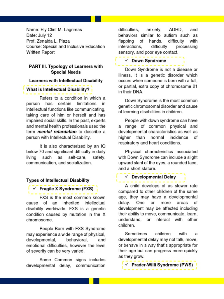 Understanding Intellectual Disabilities | PDF | Intellectual Disability ...