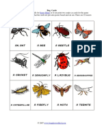 Insect Bingo: Bug Cards
