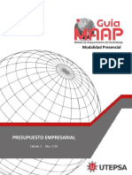 Presupuesto empresarial: Misión, visión y guía MAAP