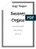 Biology Project: Sensory Organs