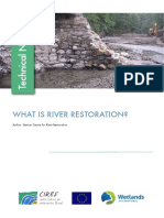 What Is River Restoration
