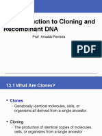 Cloning and Re Comb in Ant Dna