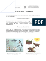 Cadeias_e_Teias_Alimentares.pdf
