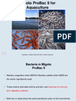 Migoto ProBac 9 (English Version) - Aquaculture