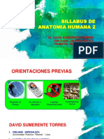 1 Sillabus Anatomia 2 - Uac 2019-2