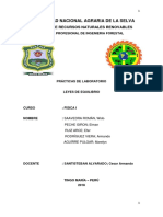 Leyes de Equilibrio Fisica