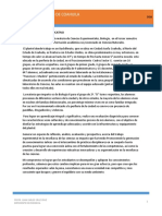 portafolio de jc cobac.docx