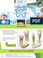 3-anatomiayfisiologiadeldiente-160820154940.pptx