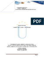 Preinfore Quimica Ambiental