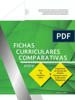 FichasCurriculares_8agosto_PDF.pdf