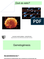 Gametogénesis