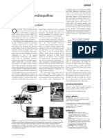 Understanding Tendinopathies: Leader