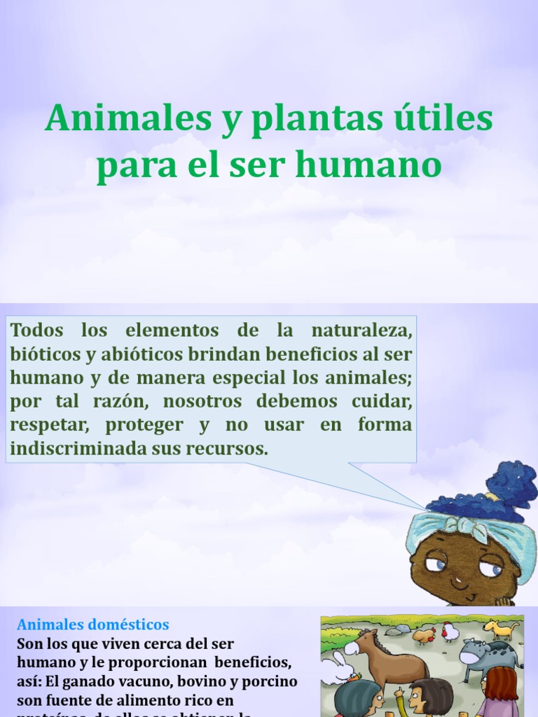 Animales y Plantas Útiles para El Ser Humano | PDF | Plantas | Habitat