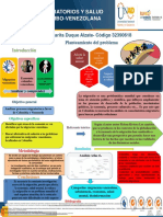 Poster-Seminario de Investigacion-Dora Duque Alzate-Grupo-17