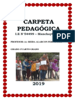CARPETA PEDAGOGICA-2019.docx