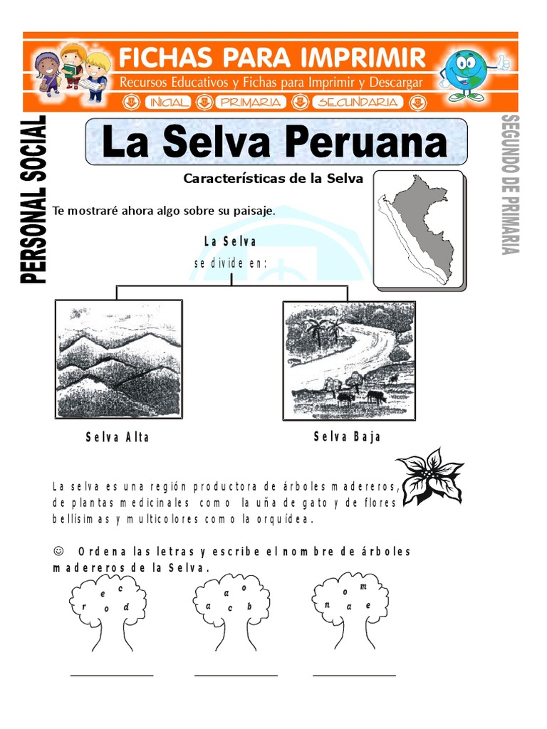Fichas sobre la Selva Peruana para Niños | PDF | Artes del Lenguaje y ...