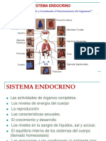 Sistema endocrino: comunicando y coordinando el funcionamiento del organismo