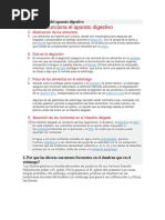 Funciones-del-aparato-digestivo.docx