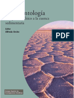 Arche -Sedimentologia-Del-Proceso-Fisico-a-La-Cuenca.pdf