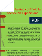 El Hipotálamo Controla La Secreción Hipofisiona