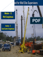 03 Sand Control Completions PDF