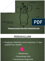 PENGKAJIAN SIST PERKEMIHAN.pptx