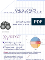 Segmentation (Morula and Blastula) : Group 8 SILVANA SUKMA 1610422042 CHIKA AFRILIA IKBAL 1710422038