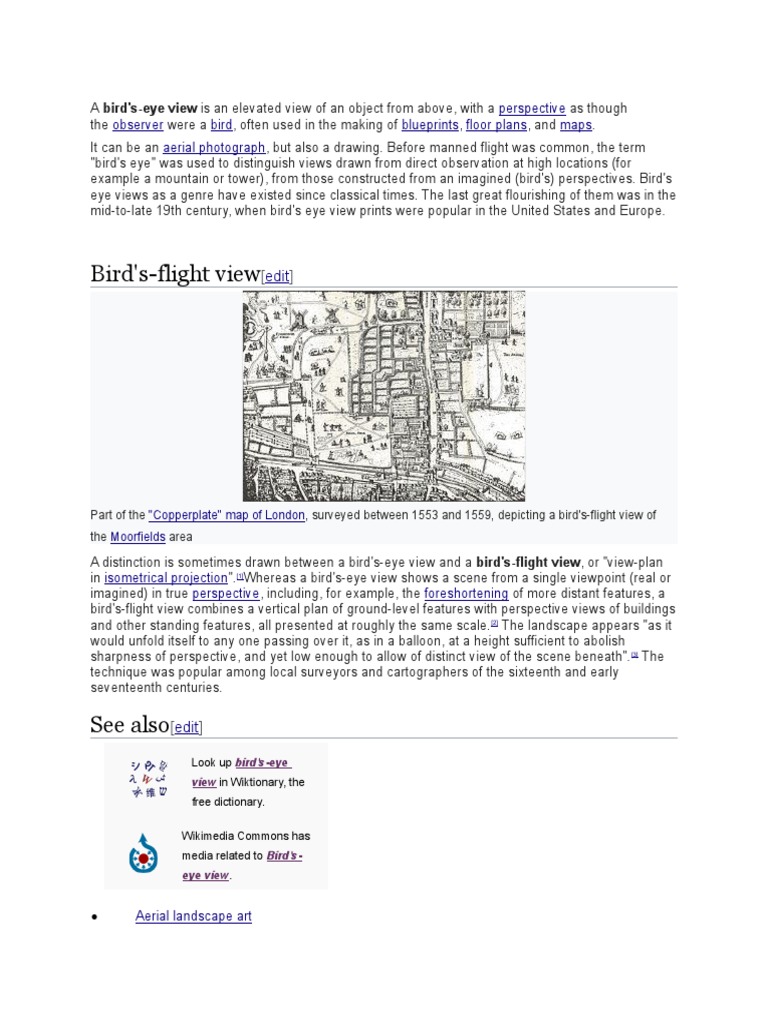Bird's-Eye View Explained | PDF