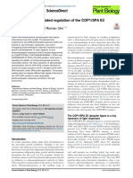 Photoreceptor-Mediated Regulation of The COP1/SPA E3 Ubiquitin Ligase