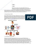 Penyakit Tuberkulosis TBC