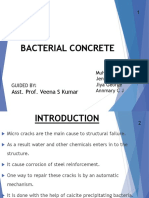 Bacterial Concrete Final Review