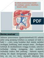 Review Anfis Sistem Cerna