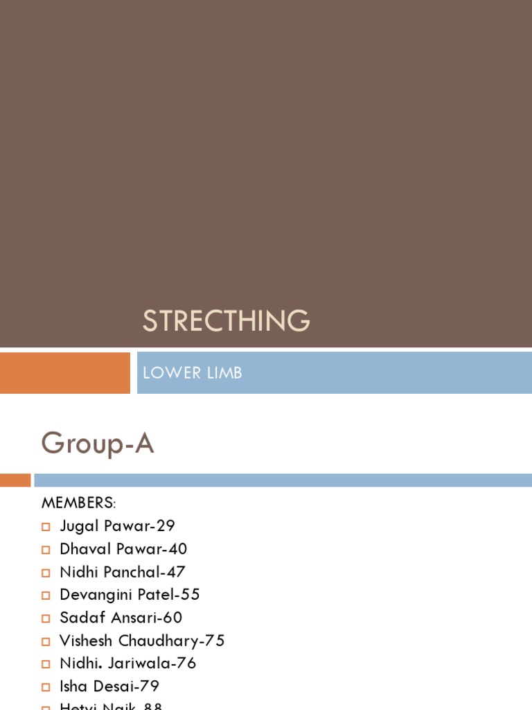 Lower Limb Stretching Techniques | PDF