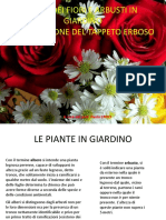 Corso Giardinaggio - Dispensa Prof Croci Per Iscritti PDF