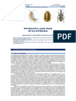 Introducción y guía visual de los artrópodos.pdf
