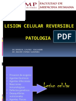 Practica # 02 - Lesion Reversible