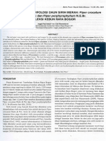 Karakteristik morfologi daun sirih merah Piper crocatum Ruitz.pdf