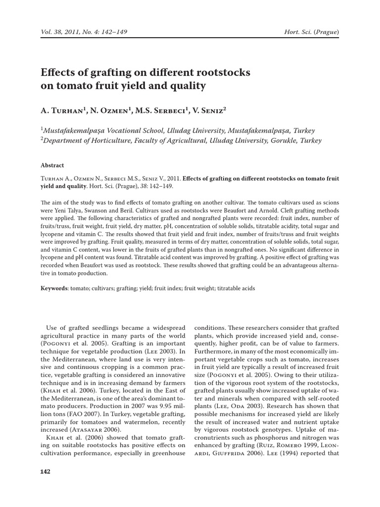 Grafting Impact on Tomato Yield & Quality | PDF | Grafting | Tomato