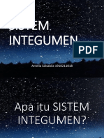 Sistem Integumen-Wps Office