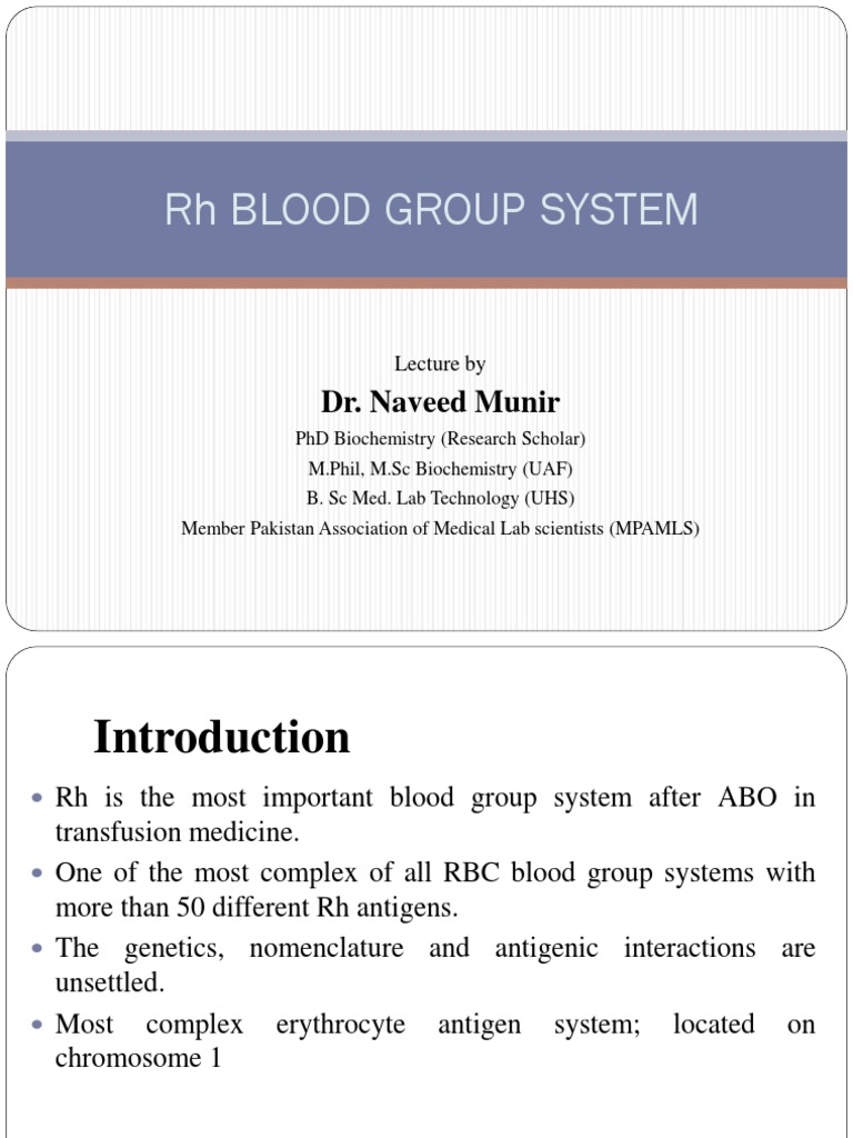 Blood Group PDF Blood Type Antibody