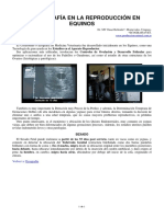 09-ecografia_en_reproduccion_equinos.pdf