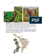 Agricultura en América