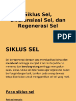 Siklus Sel