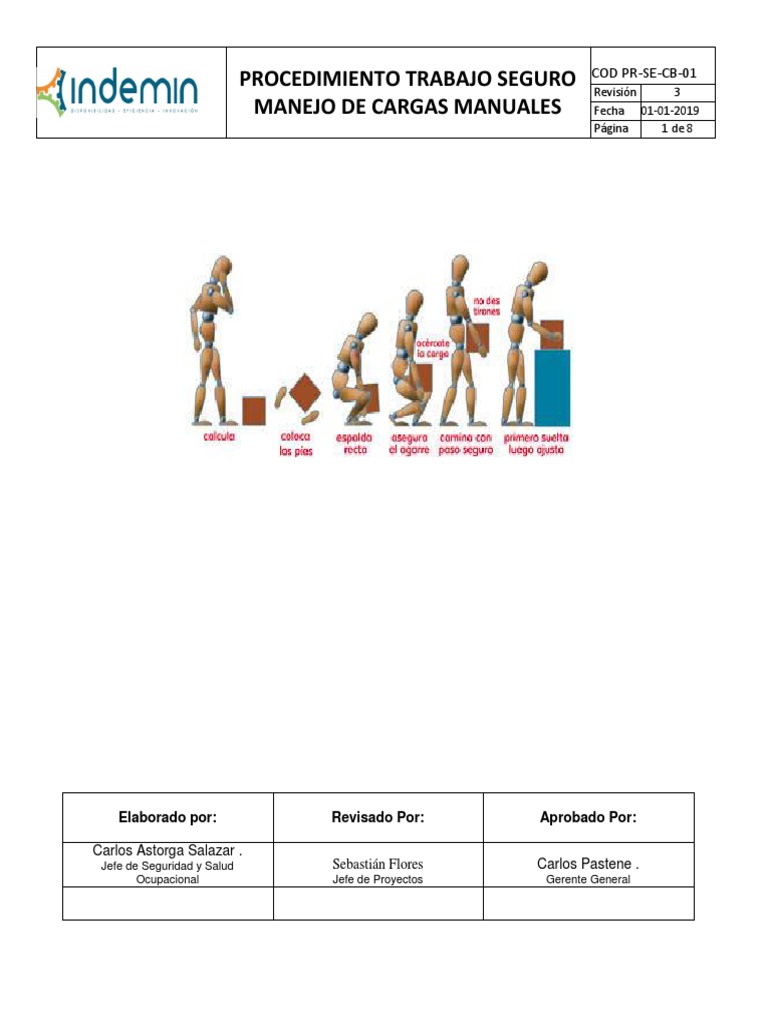 Pts Manejo Manual de Carga | PDF | Business