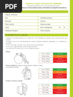 Método RAPP para Evaluación de Riesgos | PDF