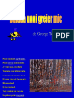 0_0baladaunuigreiermic.ppt