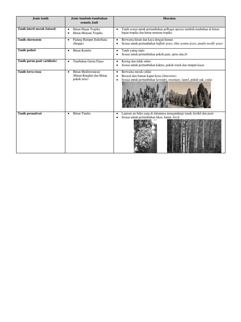 Jenis Tanih Pdf