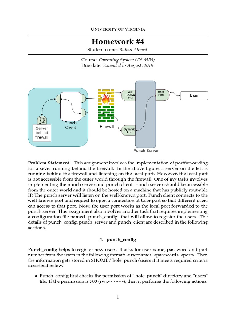 ProjectReport Implementation of Hole Punch To Forward Port of A