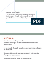 191 Lengua PDF